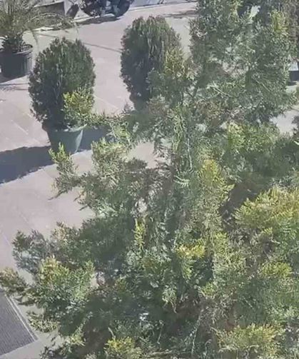 Maltepe'de 'kargoyla' uyuşturucu teslimatına baskın: 5 bin 400 gram marihuana ele geçirildi
