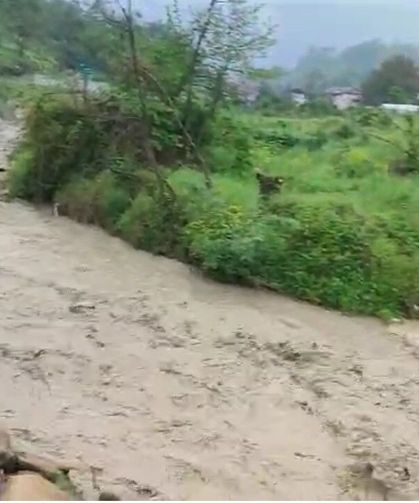 Sağanak sonrası derelerdeki su seviyeleri yükseldi