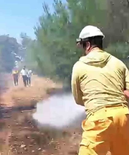 Antalya'da 5 farklı noktada çıkan yangınlar kontrol altına alındı