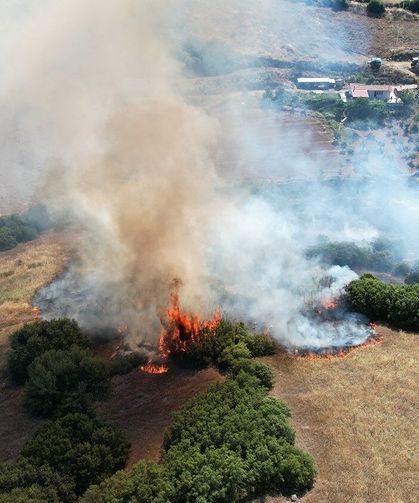 Makilik alanda yangın: 15 dönüm alan küle döndü