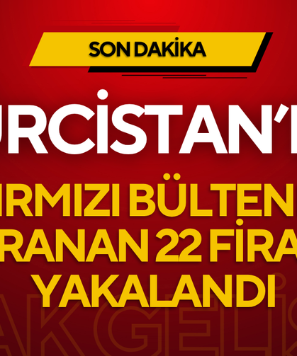 Bakan Çiftçi: Gürcistan’da kırmızı bültenle aranan 22 firari yakalandı