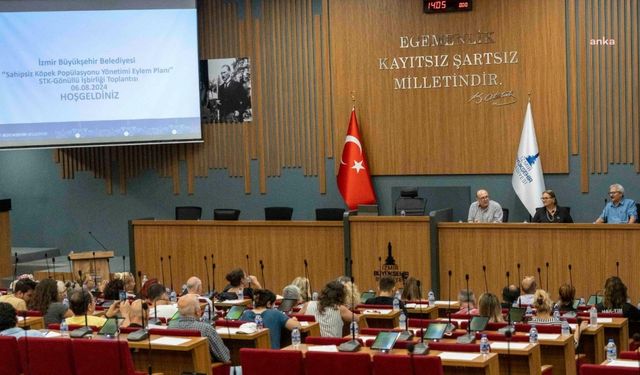 Sokak hayvanları için eylem planı hazırlıkları devam ediyor