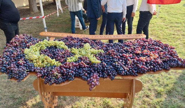 Tekirdağ’da üzüm ve şenlik coşkusu