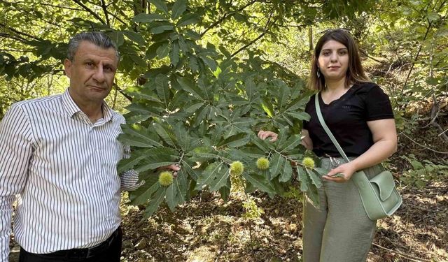 "Bu bölgede rastlamadığımız bir durum"