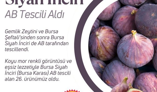 Bursa’nın siyah incirine AB tescili