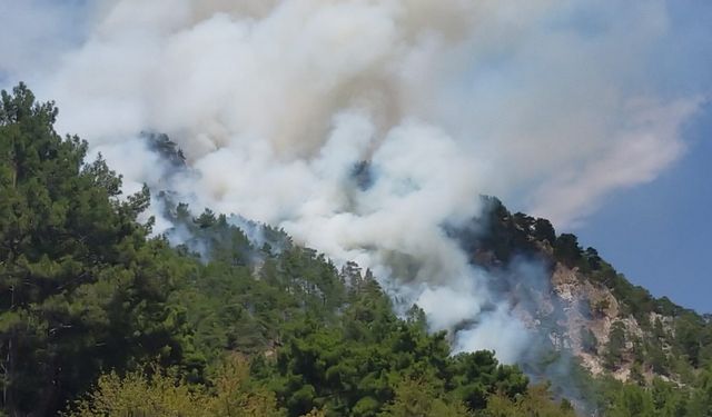 Kumluca’daki orman yangınına müdahale devam ediyor