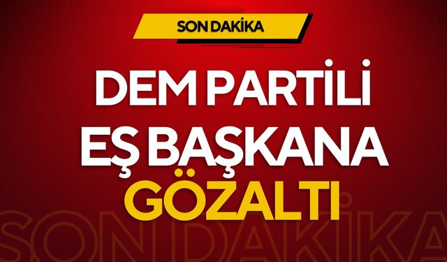 DEM Partili Cengiz Dündar ve gazetecilere gözaltı!