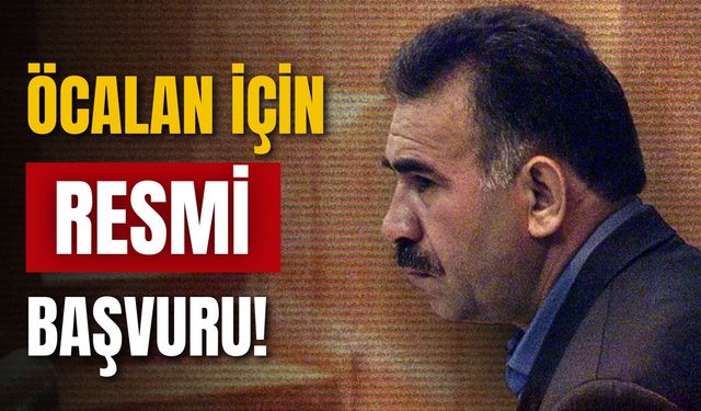 Uluslararası heyetten Abdullah Öcalan talebi