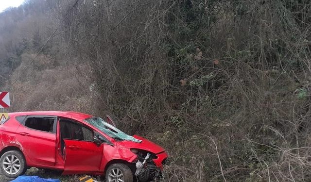 Otomobil şarampole devrildi, sürücü can verdi
