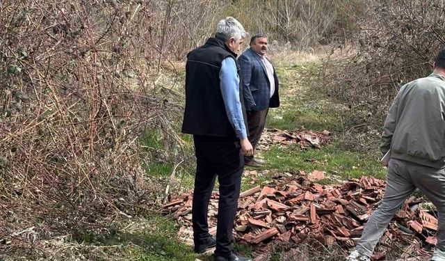 Ücretsiz meyve fidanı dağıtımı yapıldı
