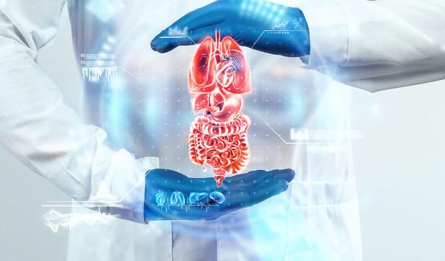 Kansızlık vücudu nasıl etkiliyor? Uzman doktor anlattı: Yorgunluk sadece uykusuzluktan kaynaklanmaz