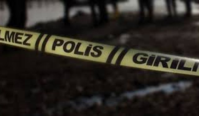 Park halindeki araca ateş eden şahıs yakalandı