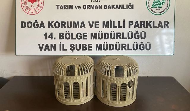 Kafesle kaçak avcılık yapan kişiye ceza