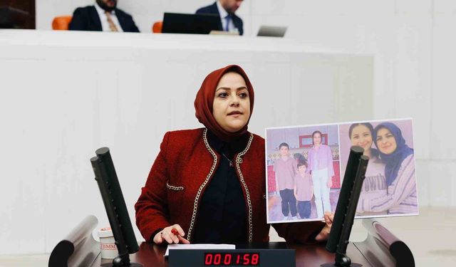 Milletvekili Ün, Sümeyra Gelir’in ölümünü Meclis'e taşıdı