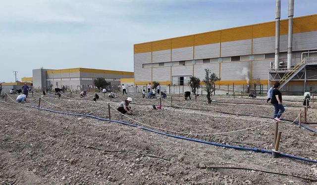 Bornovalı kadınlar Kent Bostanı’nda kendi elleriyle üretiyor 