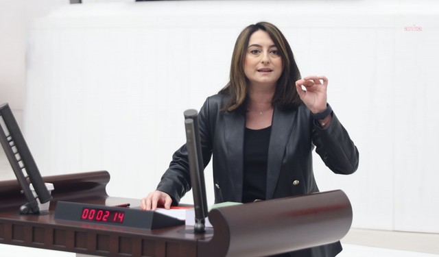 CHP’li Bankoğlu'ndan '1 Mayıs' açıklaması: "AKP Türkiye'sinde işçiler, 1800'lerin koşullarına mahkum edildi"