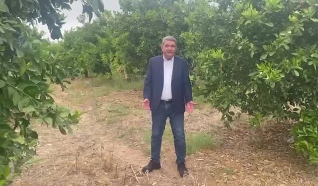 CHP'li Gökçel’den limon ihracatı yasağına tepki