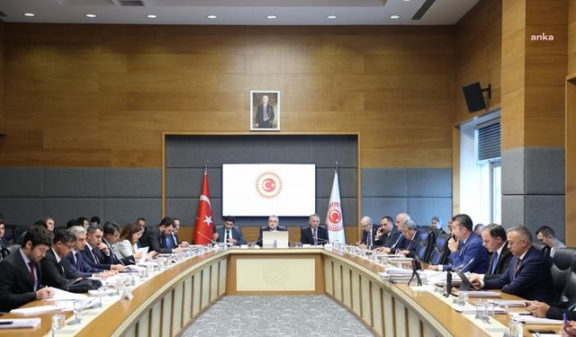 TBMM KİT Komisyonu... İller Bankası Genel Müdürü Türk: 2022 yılında yerel yönetimlere, 2 bin 967 adet iş için toplam 17,8 milyar lira finansman sağlandı