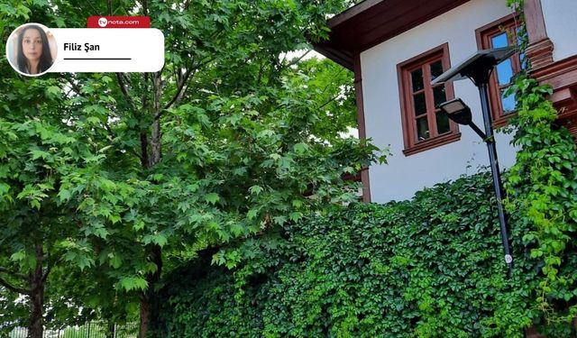 Başkentin yeniden canlanan semti: Hamamönü