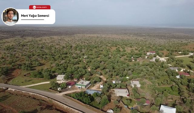 Karacadağ’da Pomza Madeni tehdidi: 3 Bin ağaç, su kaynakları ve hayvancılık tehlikede