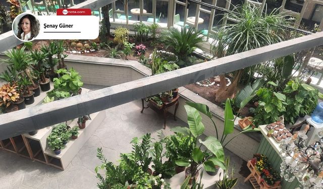Botanik Parkı’nda kahve, çiçek ve etkinlik bir arada!