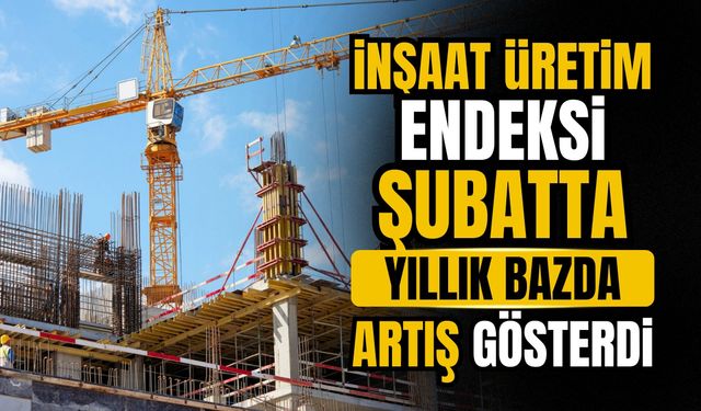 İnşaat üretim endeksi Şubat’ta yıllık bazda artış gösterdi