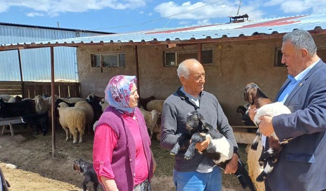 Gürer: Küçük aile tipi işletmelerde hayvancılık S.O.S veriyor