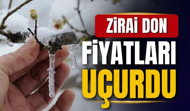 Yaşanan don olayından sonra fiyatlar arttı