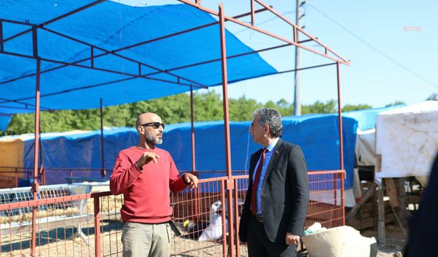 Gemlik Belediyesi'nin kurban pazarında satışlar başladı