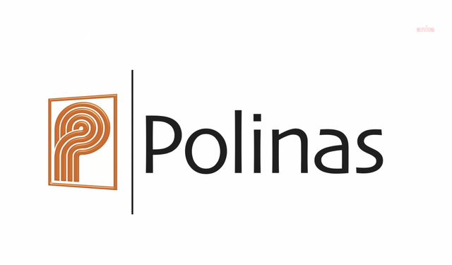 Polinas, ilk sürdürülebilirlik raporunu yayınladı
