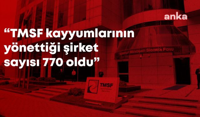 Son operasyonlarla TMSF kayyumlarının yönettiği şirket sayısı 770’e yükseldi: Banka, TV, hamburgerci, çerezci, reklamcı, gece kulüpleri, elektrik santralları