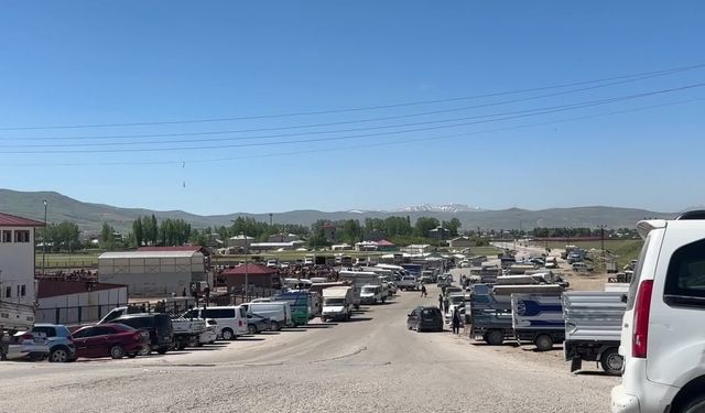 Van’da kurbanlıklar satışa çıktı: “Bu sene fazla satışımız yok"