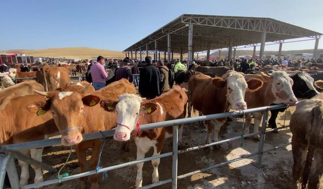 Yozgat’ta Kurban Bayramı öncesinde hayvan pazarlarında denetimler artırıldı