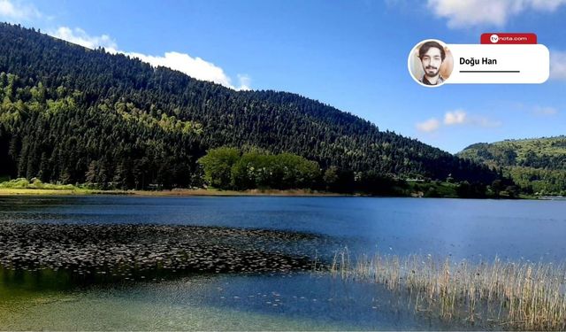Abant Gölü baharla birlikte yeşile büründü