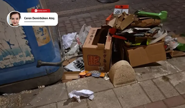 "Çöpler sadece görüntü kirliliği değil, sağlık riski de yaratıyor"