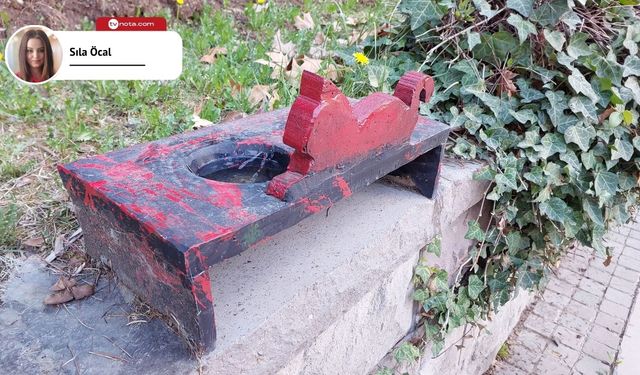 Yaz sıcağı sokak hayvanlarını tehdit ediyor: "Bir kap su, bir hayat kurtarabilir"