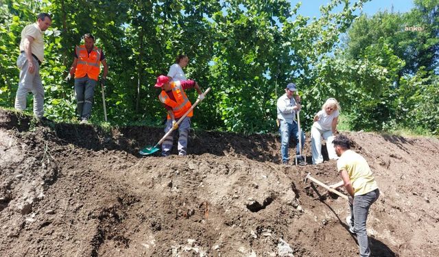 Altınordu'da yol çalışmasında tarihi mezarlar bulundu