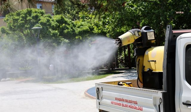 Ataşehir Belediyesi'nden kenelere karşı etkin mücadele