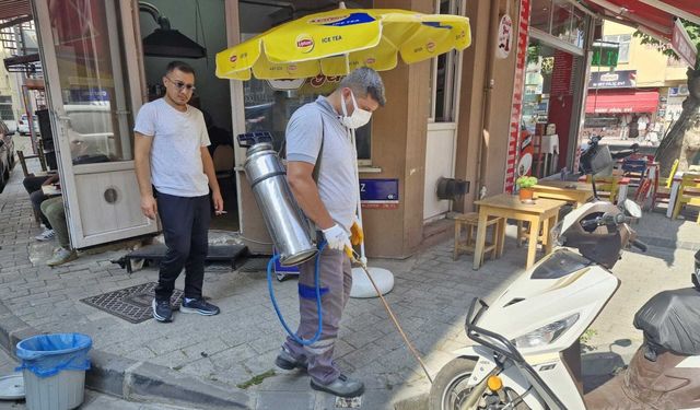 Çanakkale Belediyesi, vektörle mücadele çalışmalarına devam ediyor 