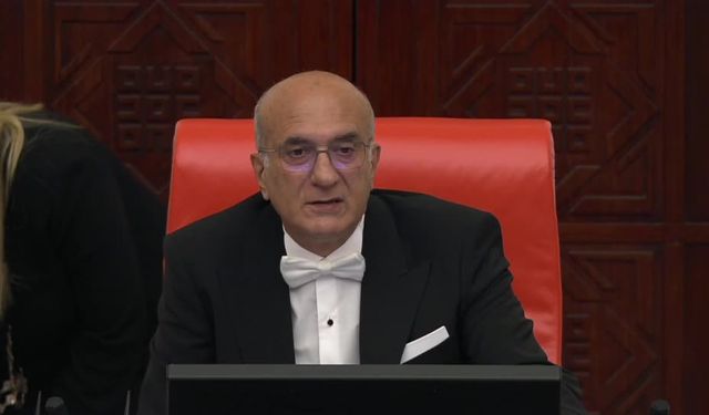 CHP'li Nurhayat Kayışoğlu: "Tutuklama bugün bir cezalandırma aracı olarak kullanılıyor"