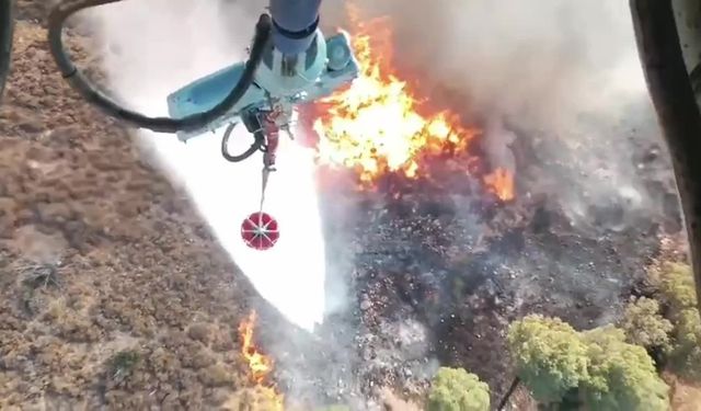 Dikili Çandarlı’da orman dışı alanda yangın