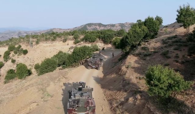 Diyarbakır’daki "Narkokit-5 Operasyonu"nda 12 milyon 389 bin kök keneviri ele geçirildi