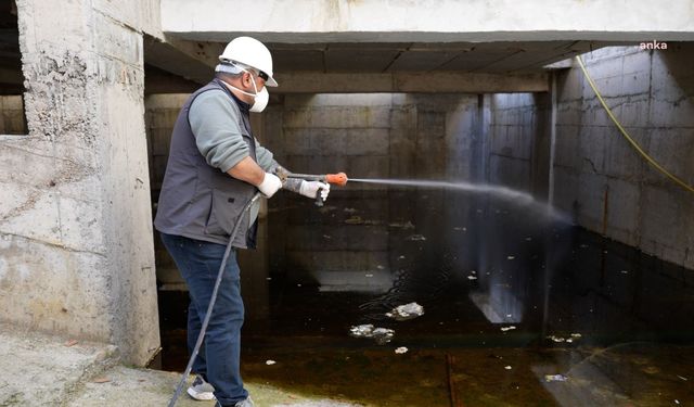 Maltepe’de sivrisinekle mücadele çalışmaları başladı
