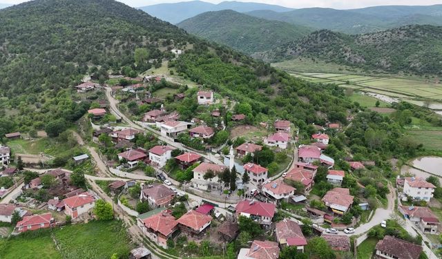 YEDAŞ’tan Sinop’taki leyleklere güvenli yuva