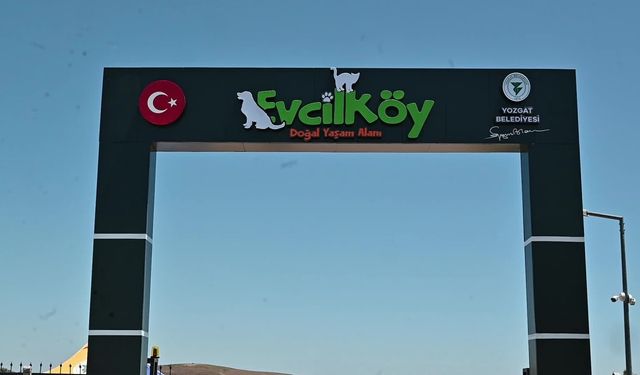 Yozgat’ta minikler, Evcil Köy'de fidan dikti, hayvanları sevdi, piknik yaptı