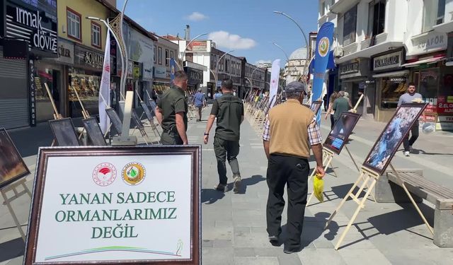 Yozgat’ta "Yanan Sadece Ormanlarımız Değil" başlıklı fotoğraf sergisi açıldı