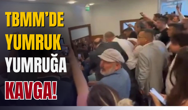 Zeytinlikler için Meclis’te yumruklu kavga