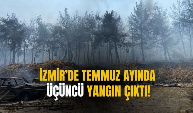 İzmir’de temmuz ayında üçüncü kez yangın çıktı!