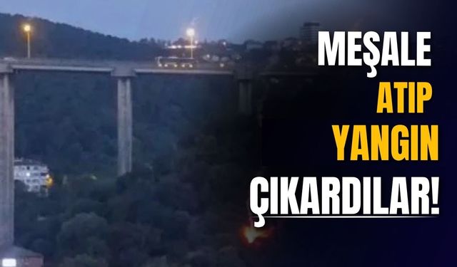 Beykoz'da ormanlık alanda yangın paniği: İşaret fişeği şüphesi