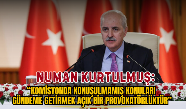 Cumartesi ve Barış Anneleri Komisyona Seslendi